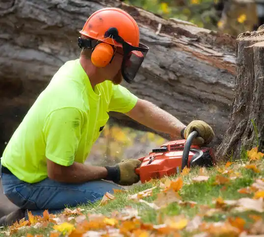 tree services North Topsail Beach